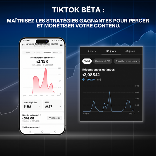 Ebook Ultime TikTok bêta